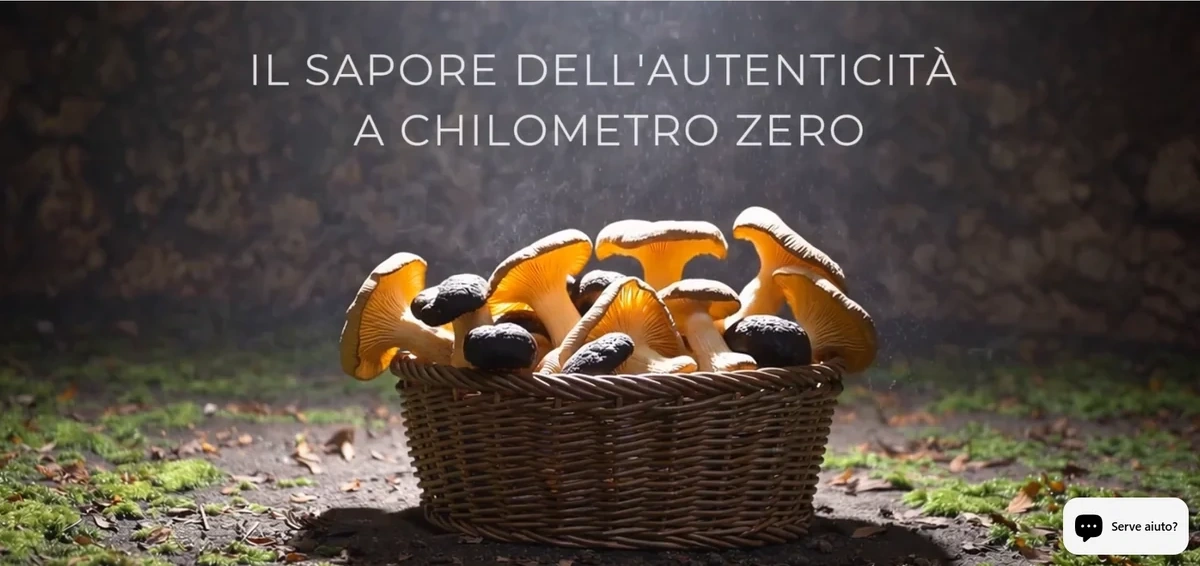Moretti: visual della homepage dello shop online