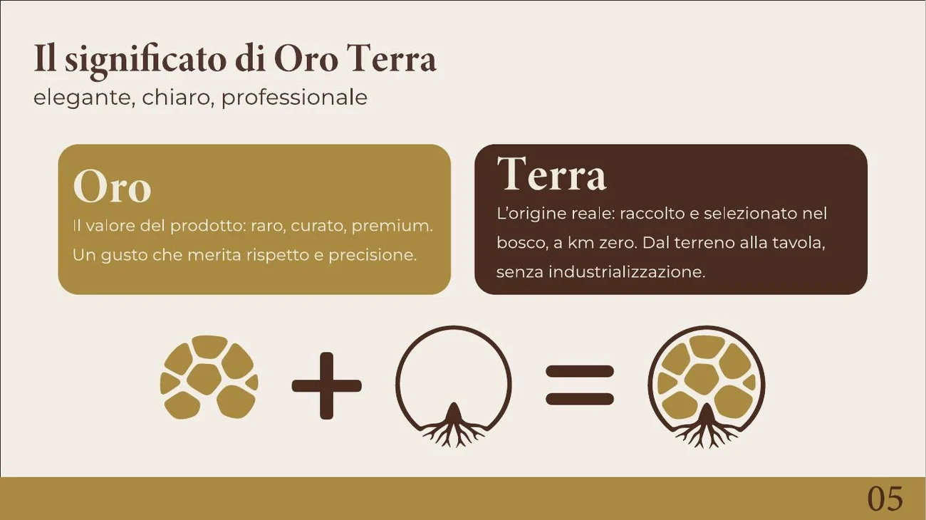 OroTerra: costruzione e significato del simbolo
